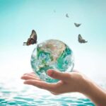 Global Ecosystem and its Impact