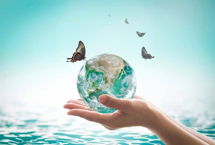 Global Ecosystem and its Impact