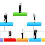 Common Organization Structures
